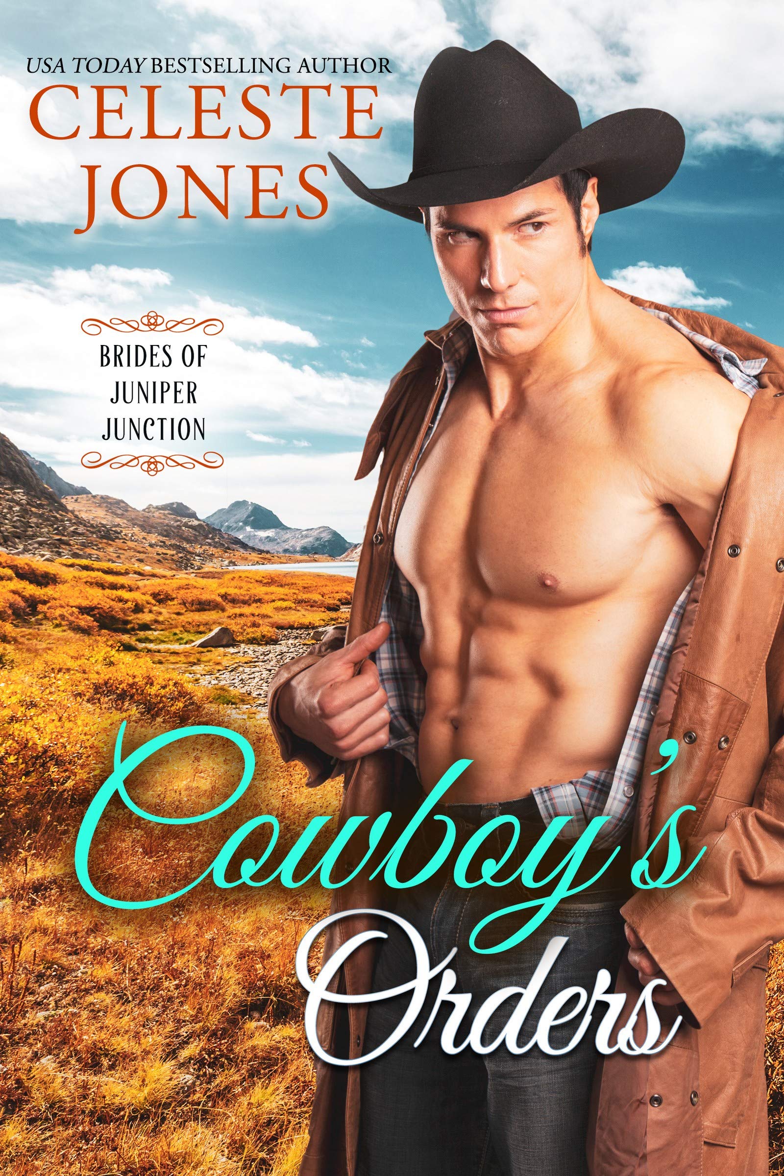 Brides of Juniper Junction book cover 2