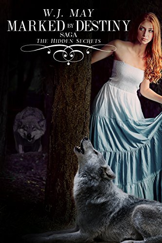 Hidden Secrets book cover 2