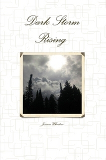 Dark Storm Rising book cover