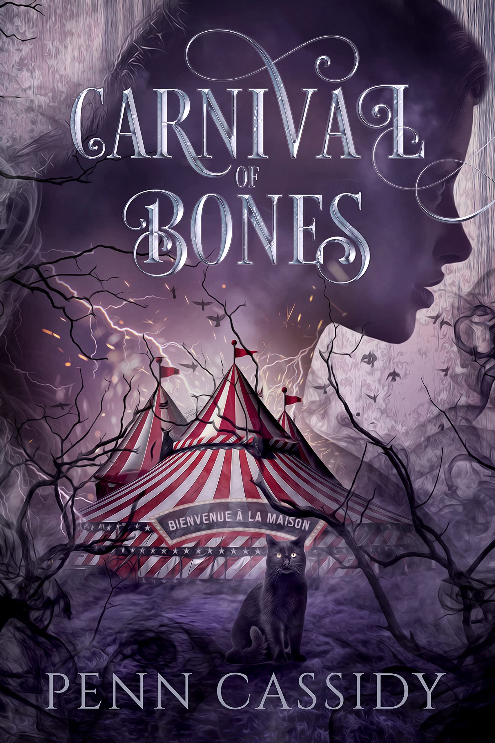 Carnival of Bones Duet book cover 1