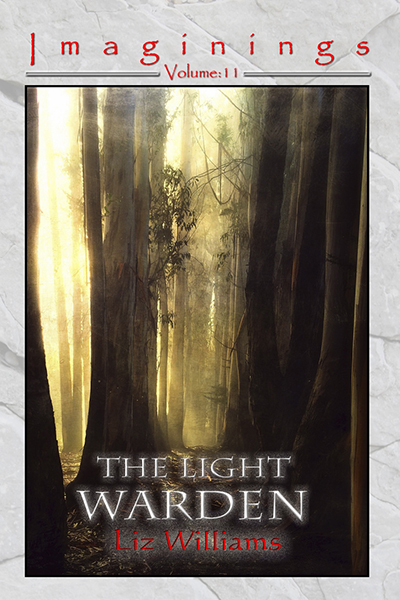 The Light Warden book cover