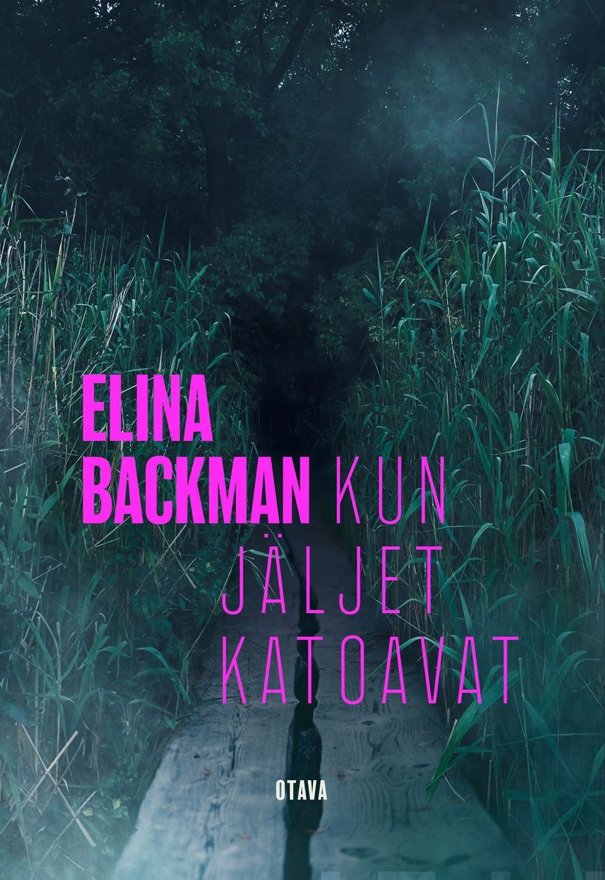 Saana Havas book cover 2