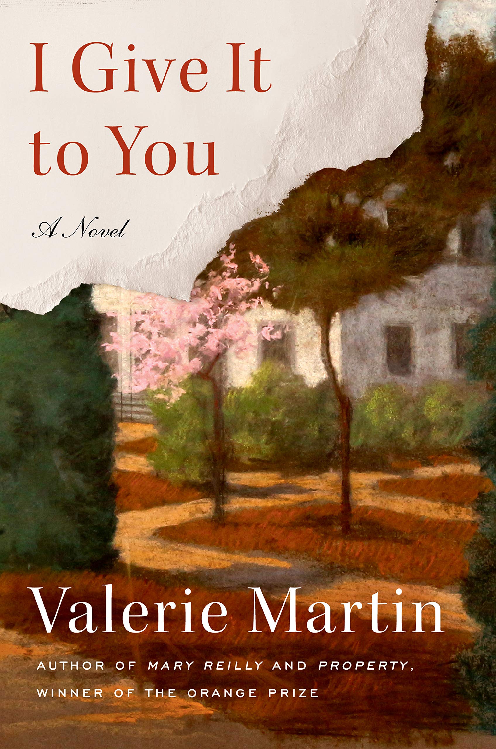 I Give It to You book cover