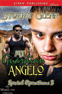 Special Operations book cover 3
