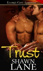 Trust book cover