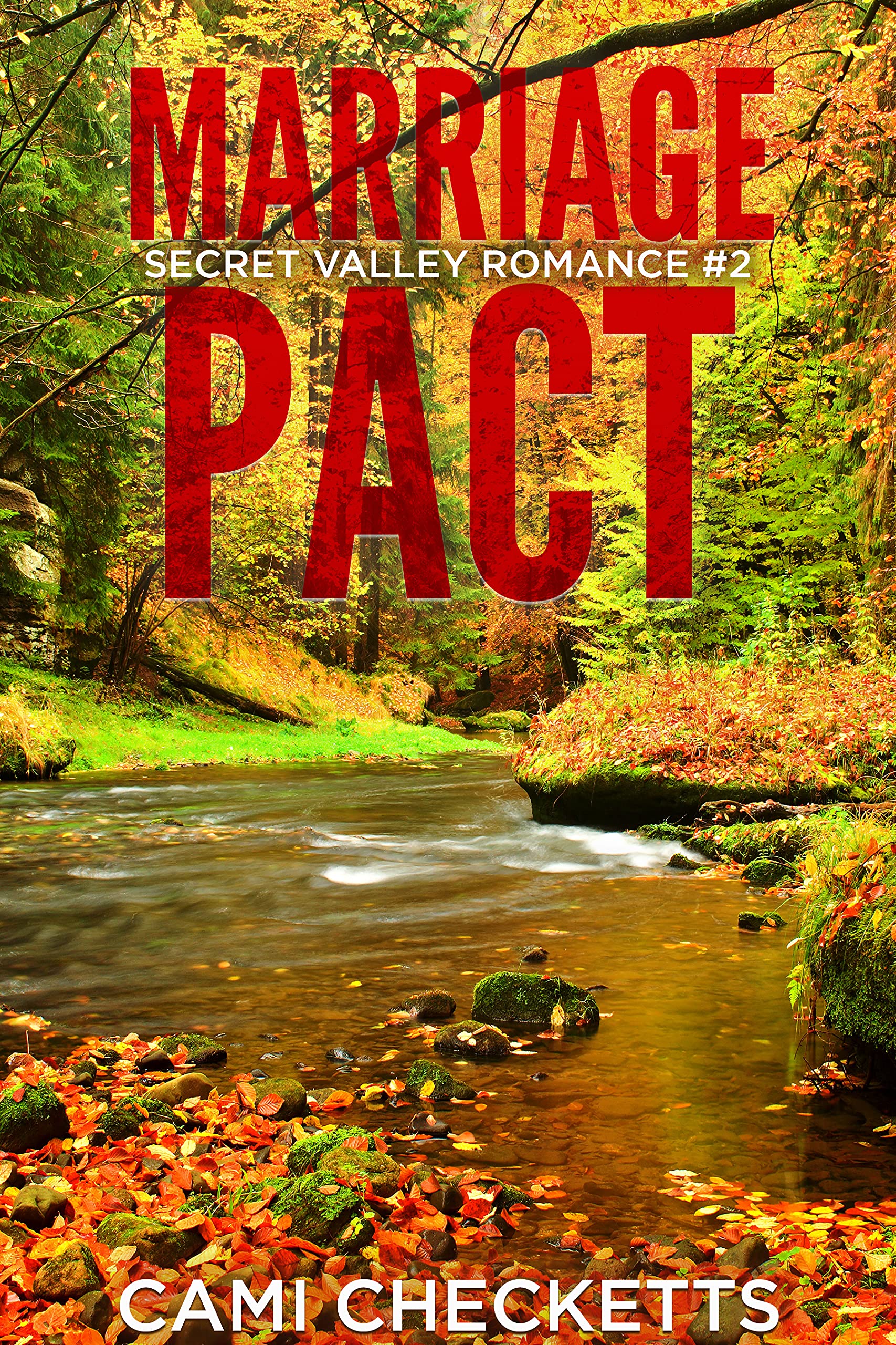 Secret Valley Romance book cover 2