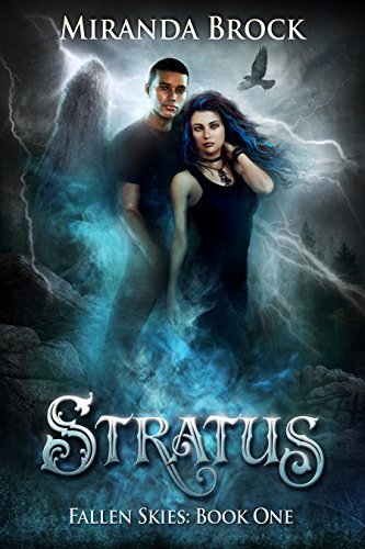 Fallen Skies book cover 1