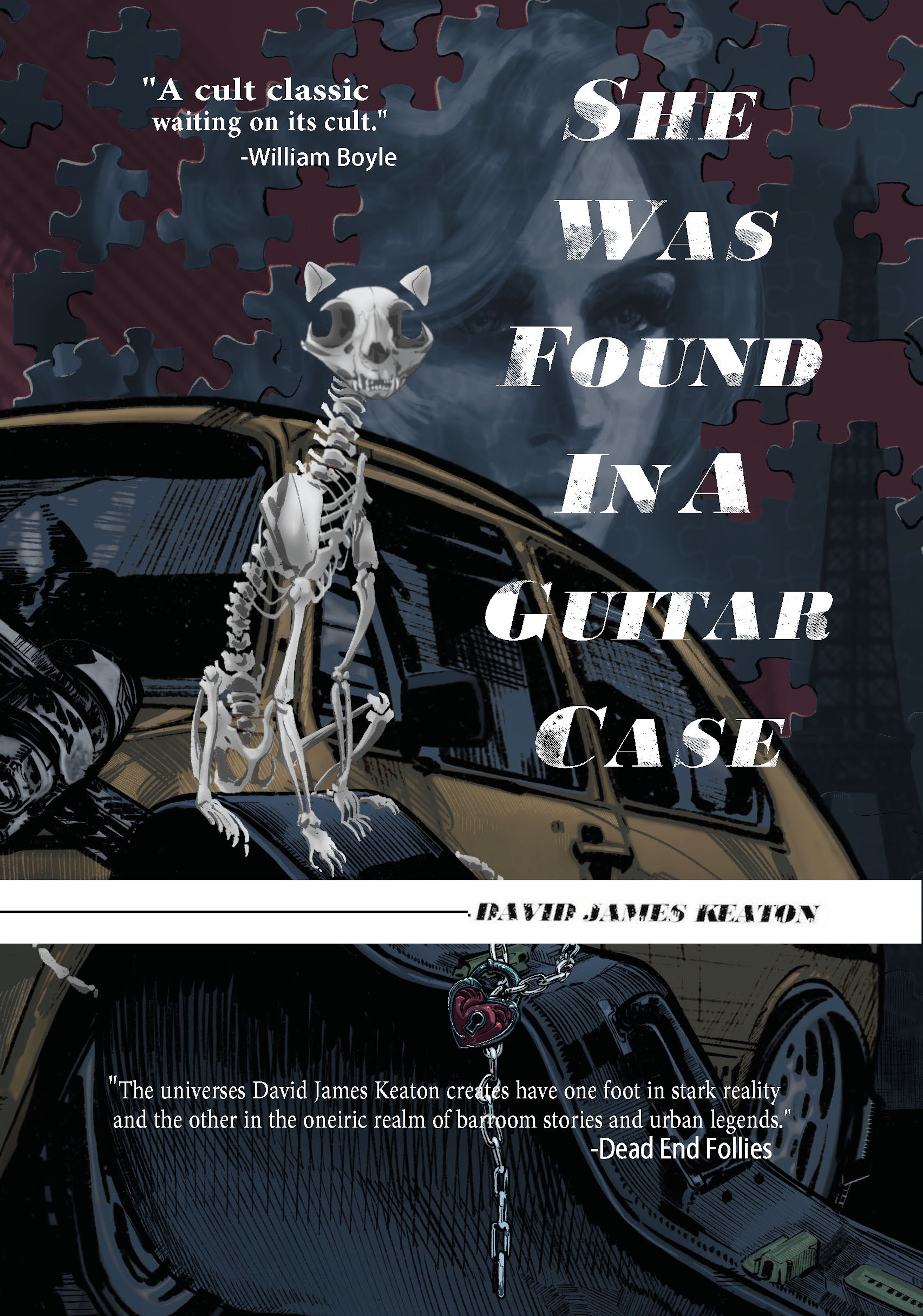 She Was Found in a Guitar Case book cover