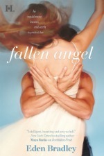 Fallen Angel book cover