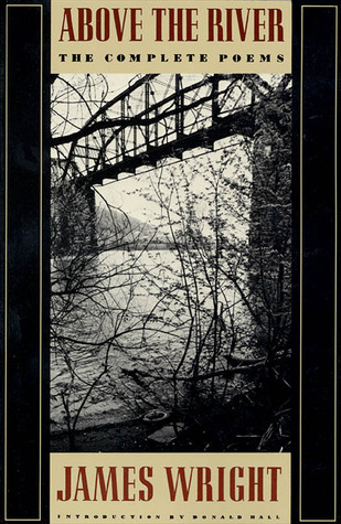 Above the River book cover