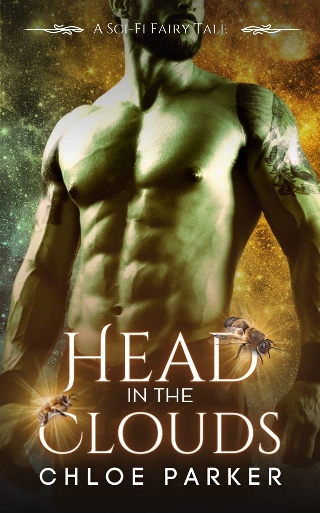 Head in the Clouds book cover