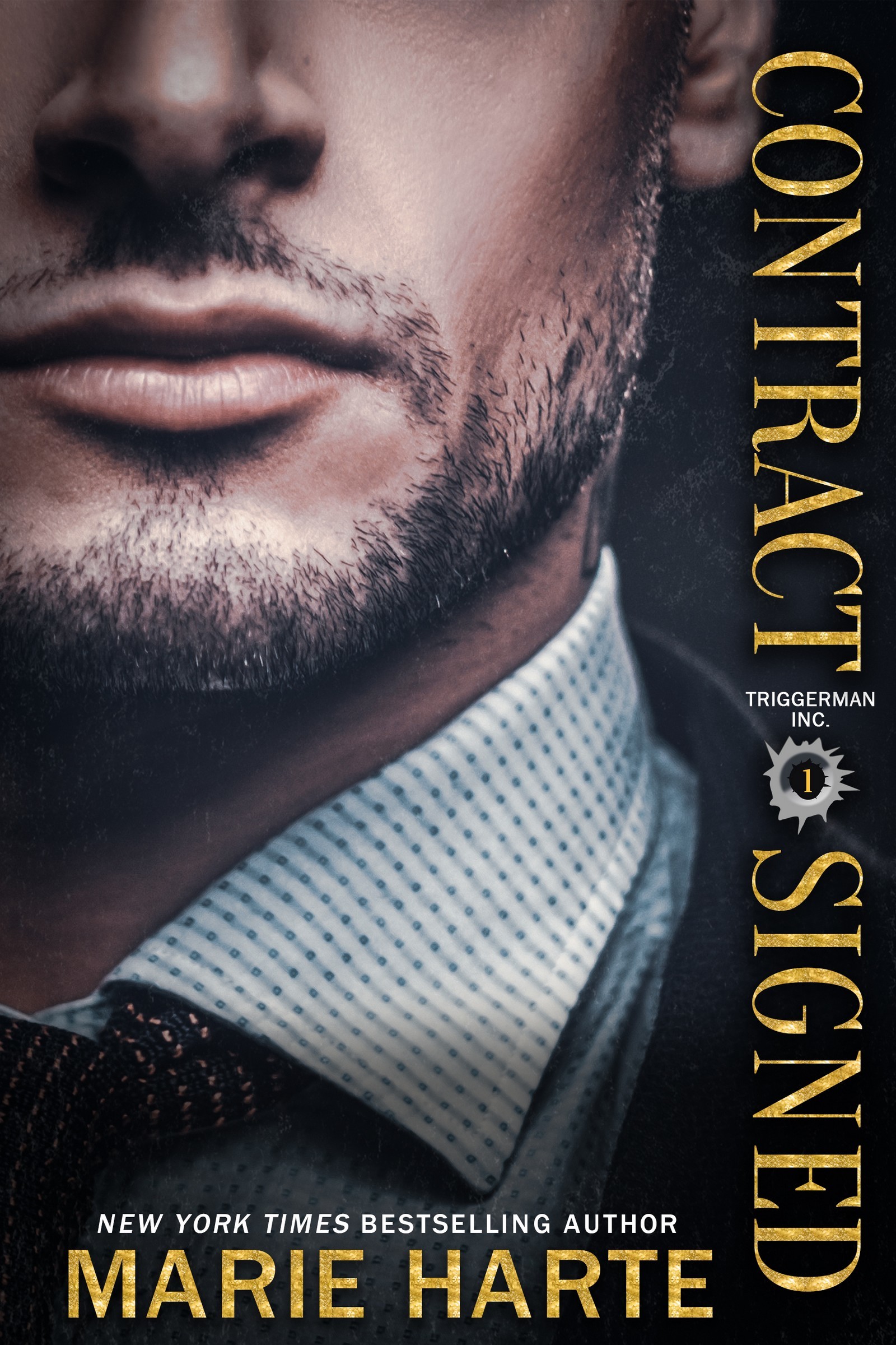 Triggerman, Inc. book cover 1
