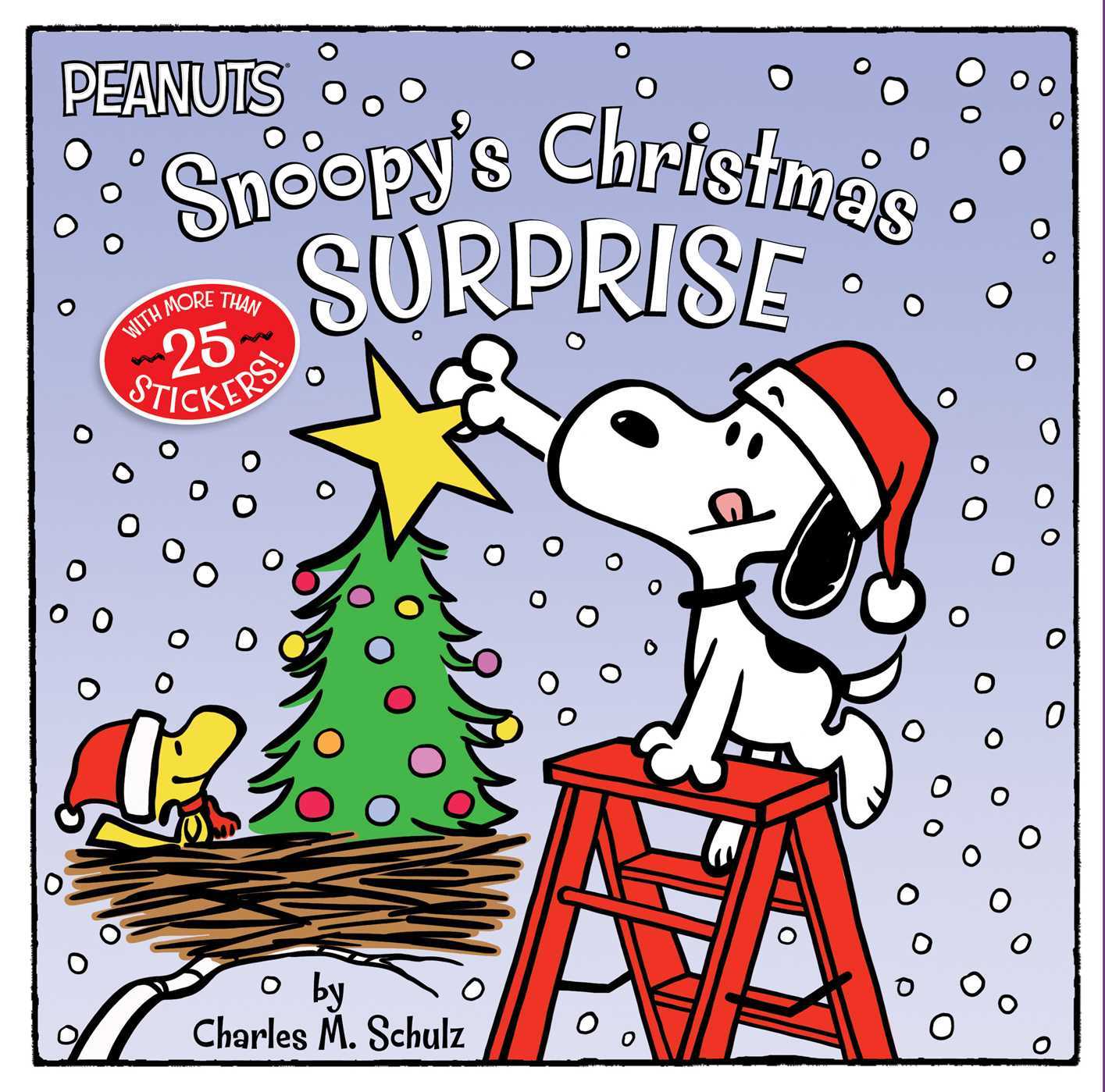 Snoopy's Christmas Surprise book cover