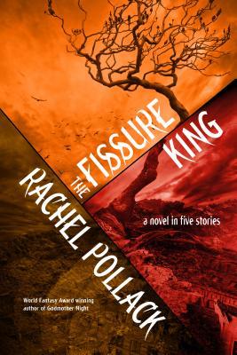 The Fissure King book cover