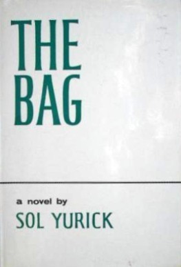 The bag book cover
