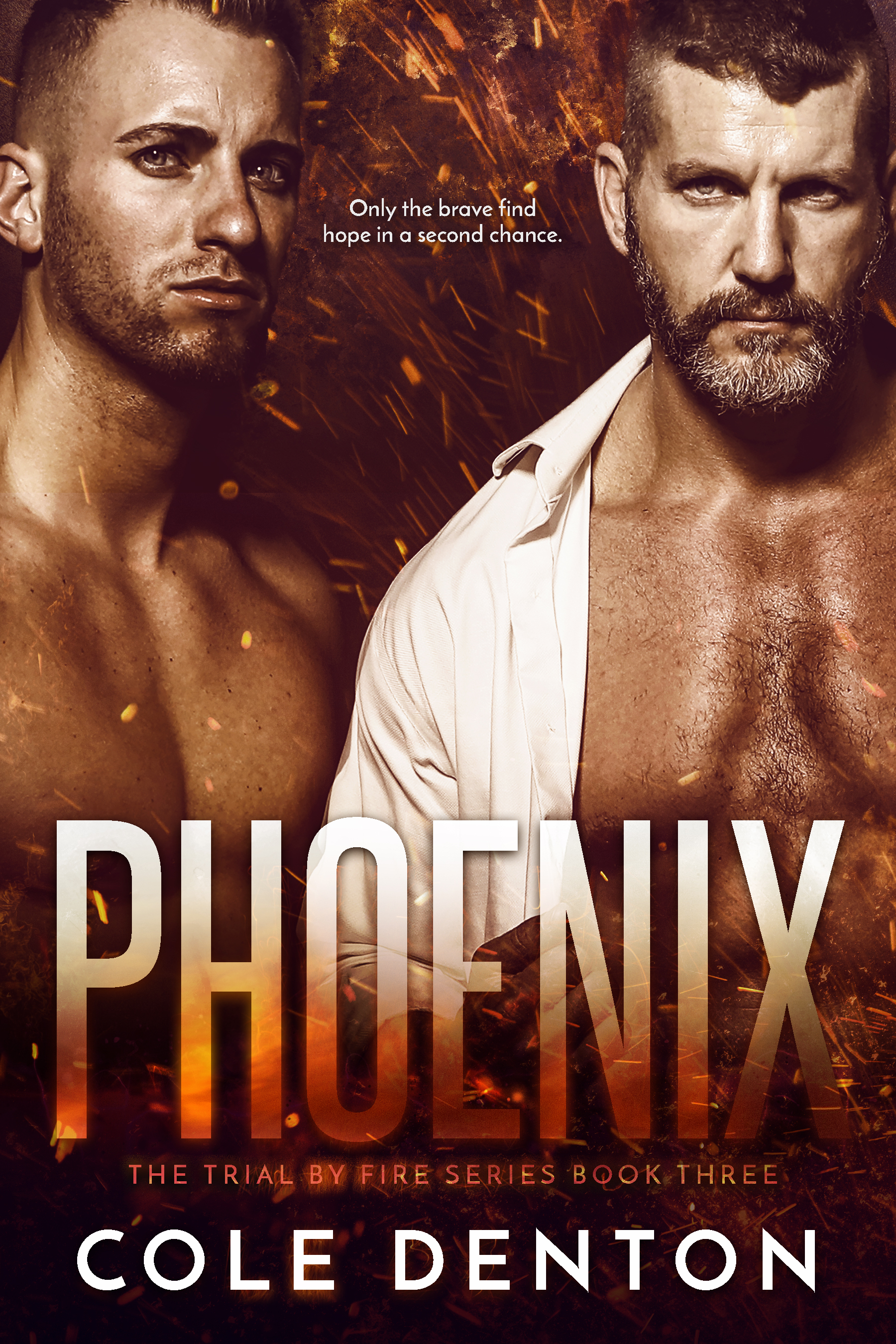 Trial by Fire book cover 3