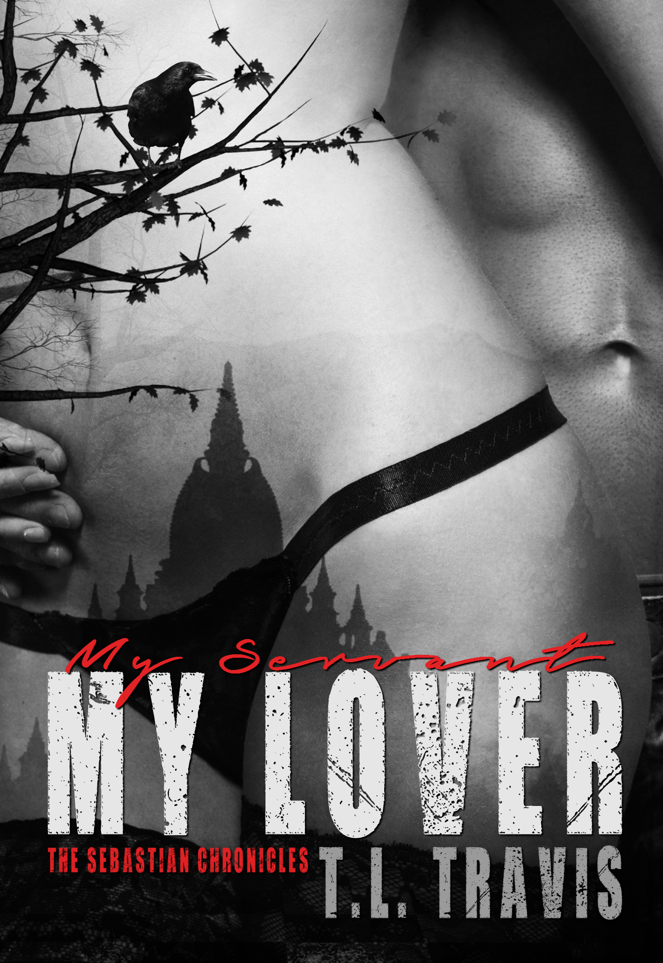 My Servant, My Lover book cover