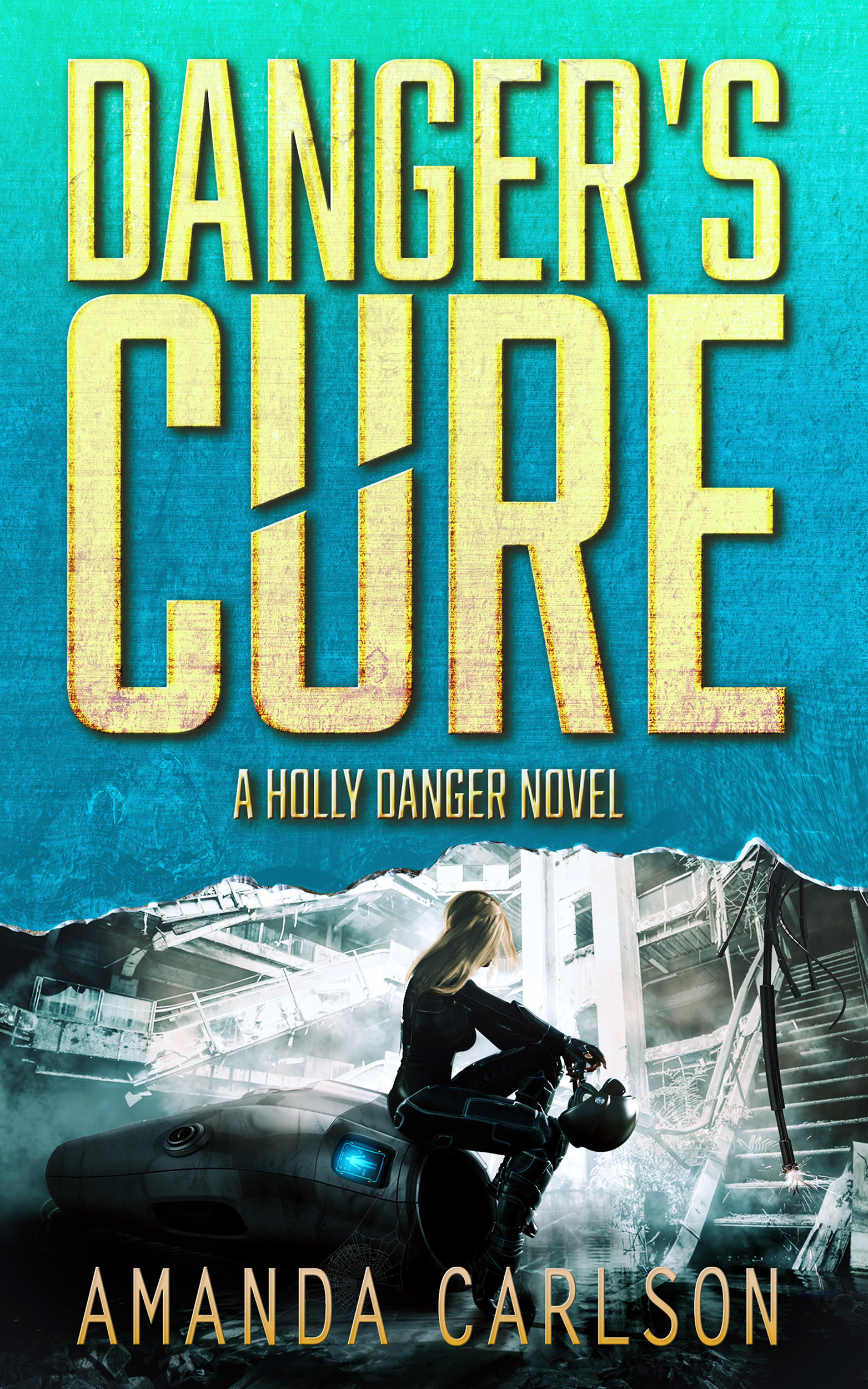 Danger's Cure book cover