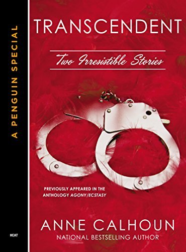 Irresistible book cover 2