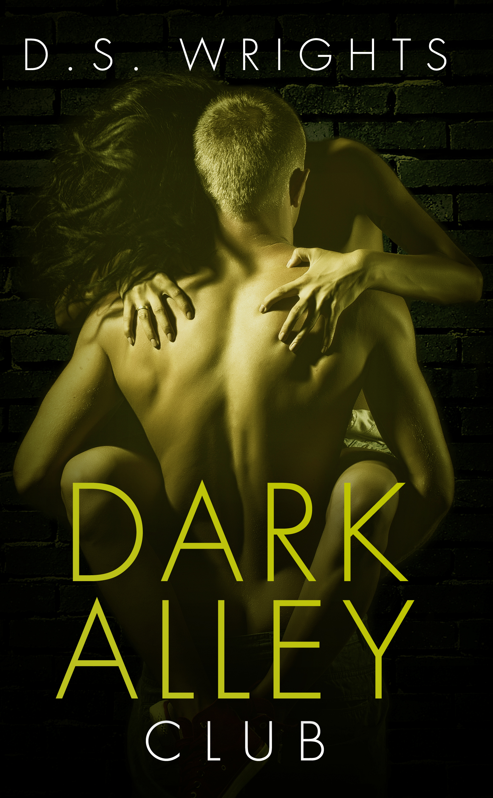 Dark Alley book cover