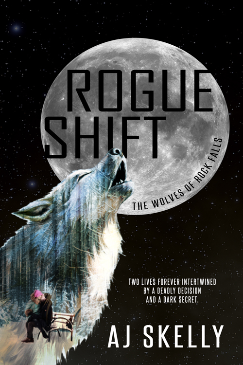 The Wolves of Rock Falls book cover 2