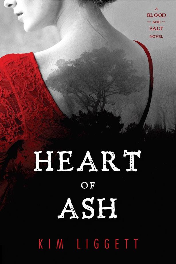 Blood and Salt book cover 2