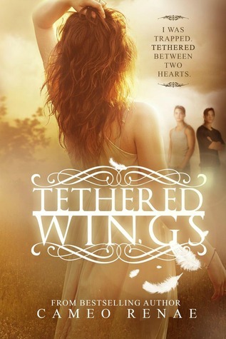 Hidden Wings book cover 3