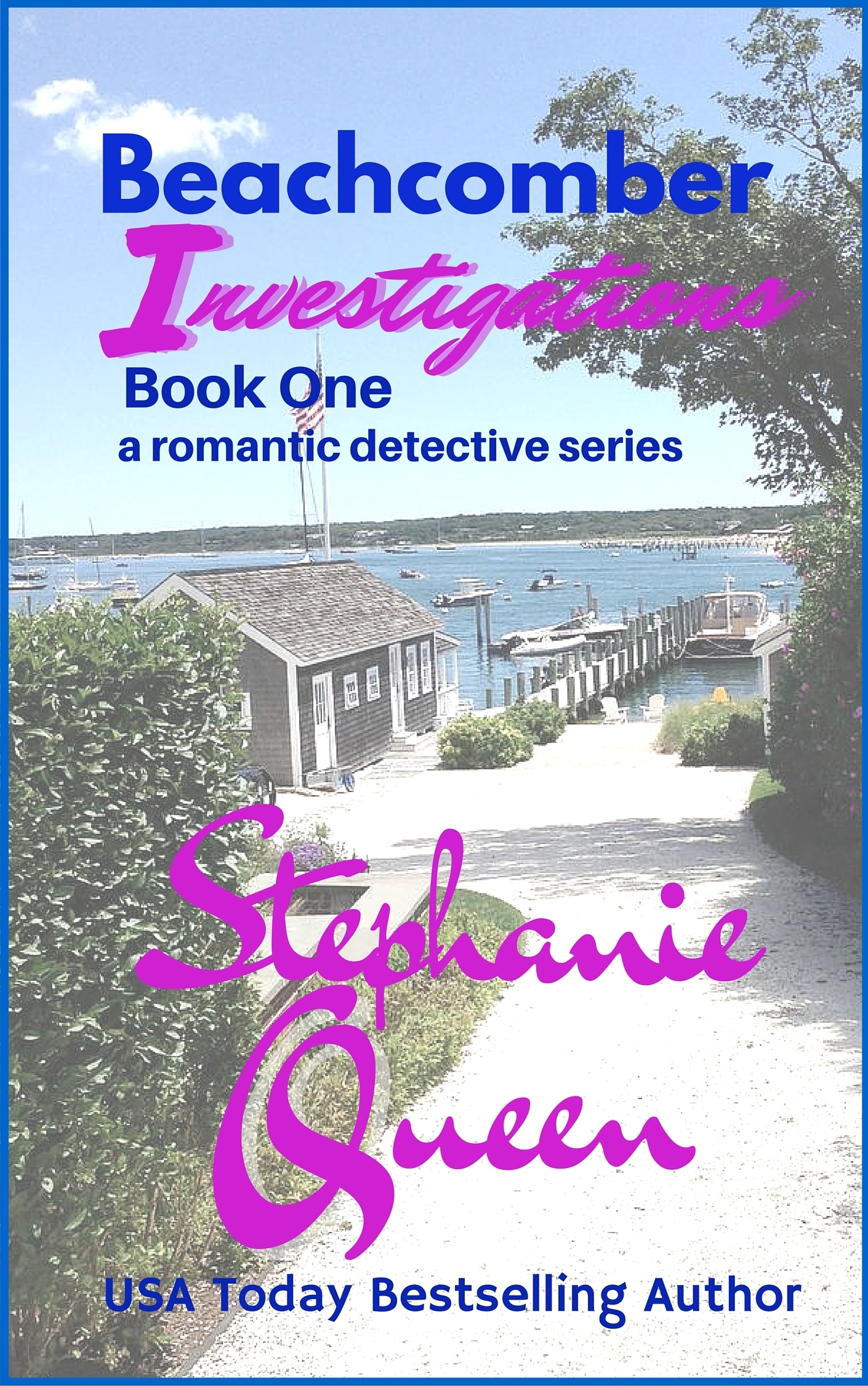 Beachcomber Investigations book cover 1