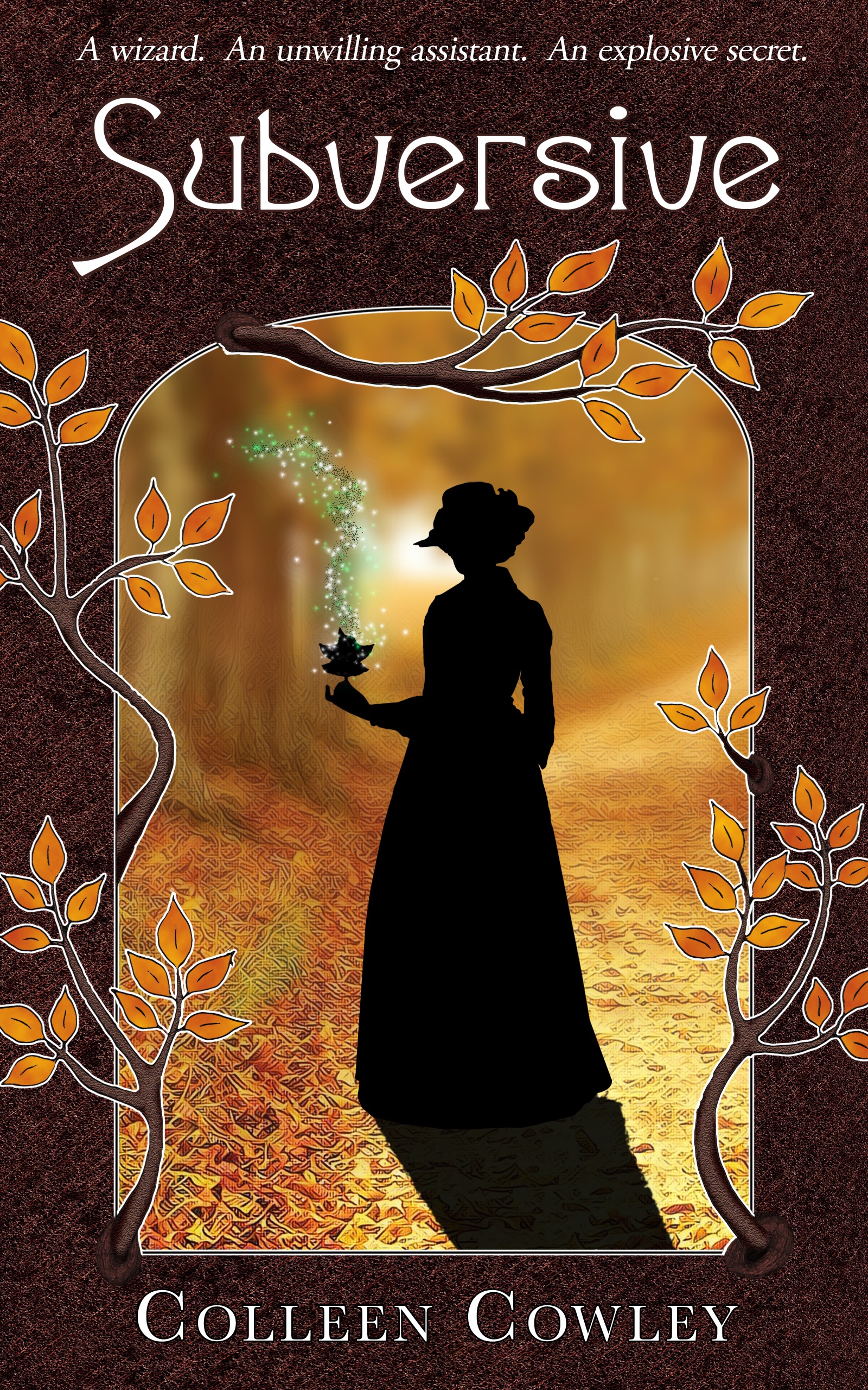 Clandestine Magic book cover 1