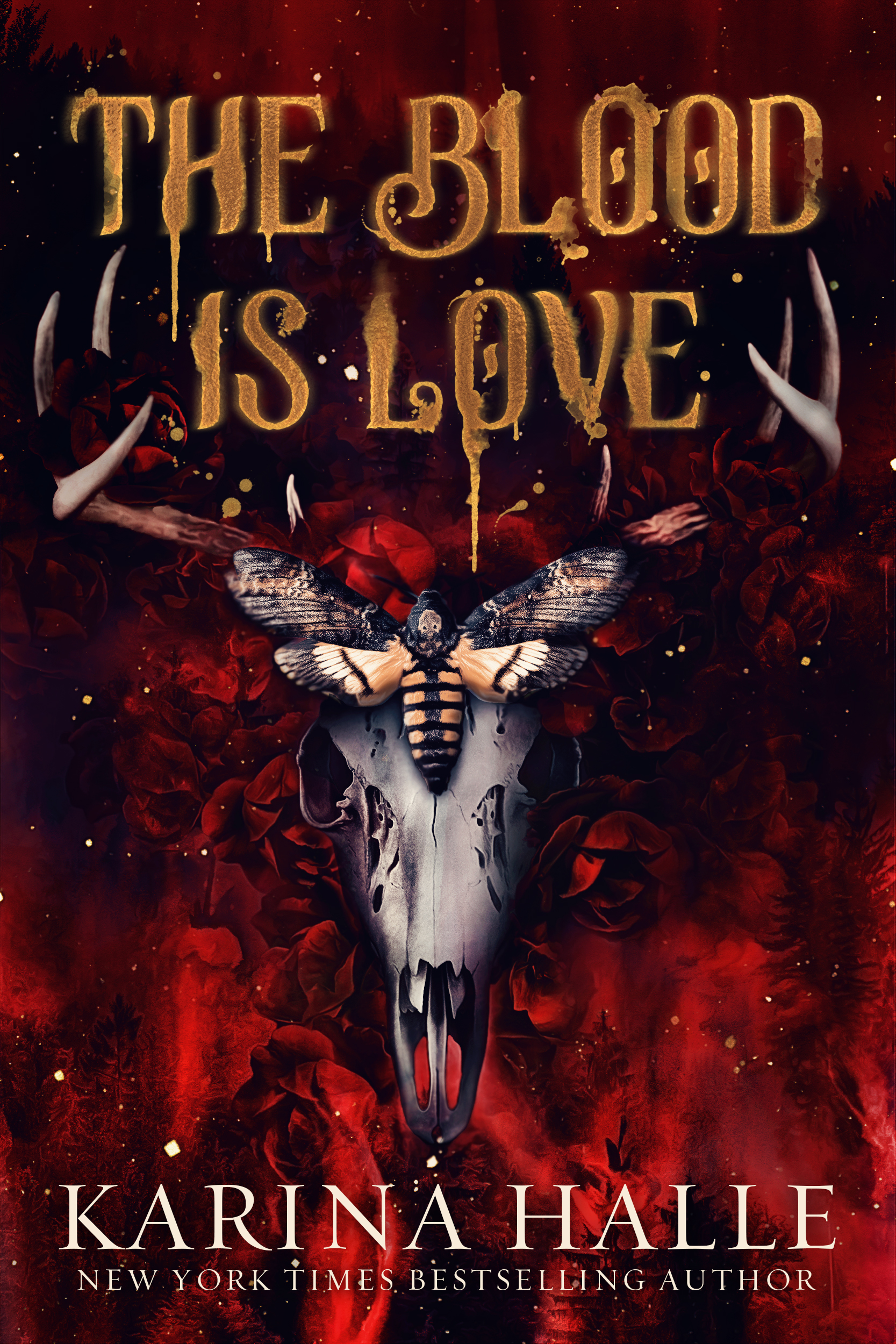 Dark Eyes book cover 2