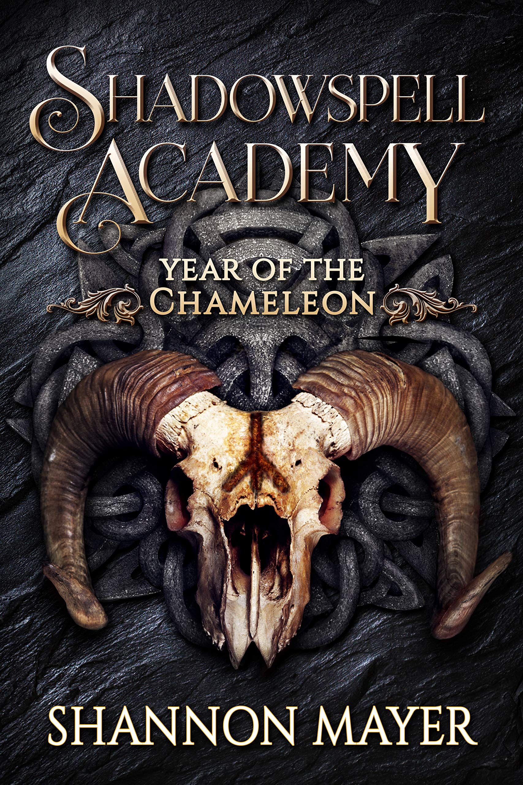 Year of the Chameleon 2 book cover