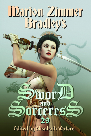 Sword and Sorceress 29 book cover