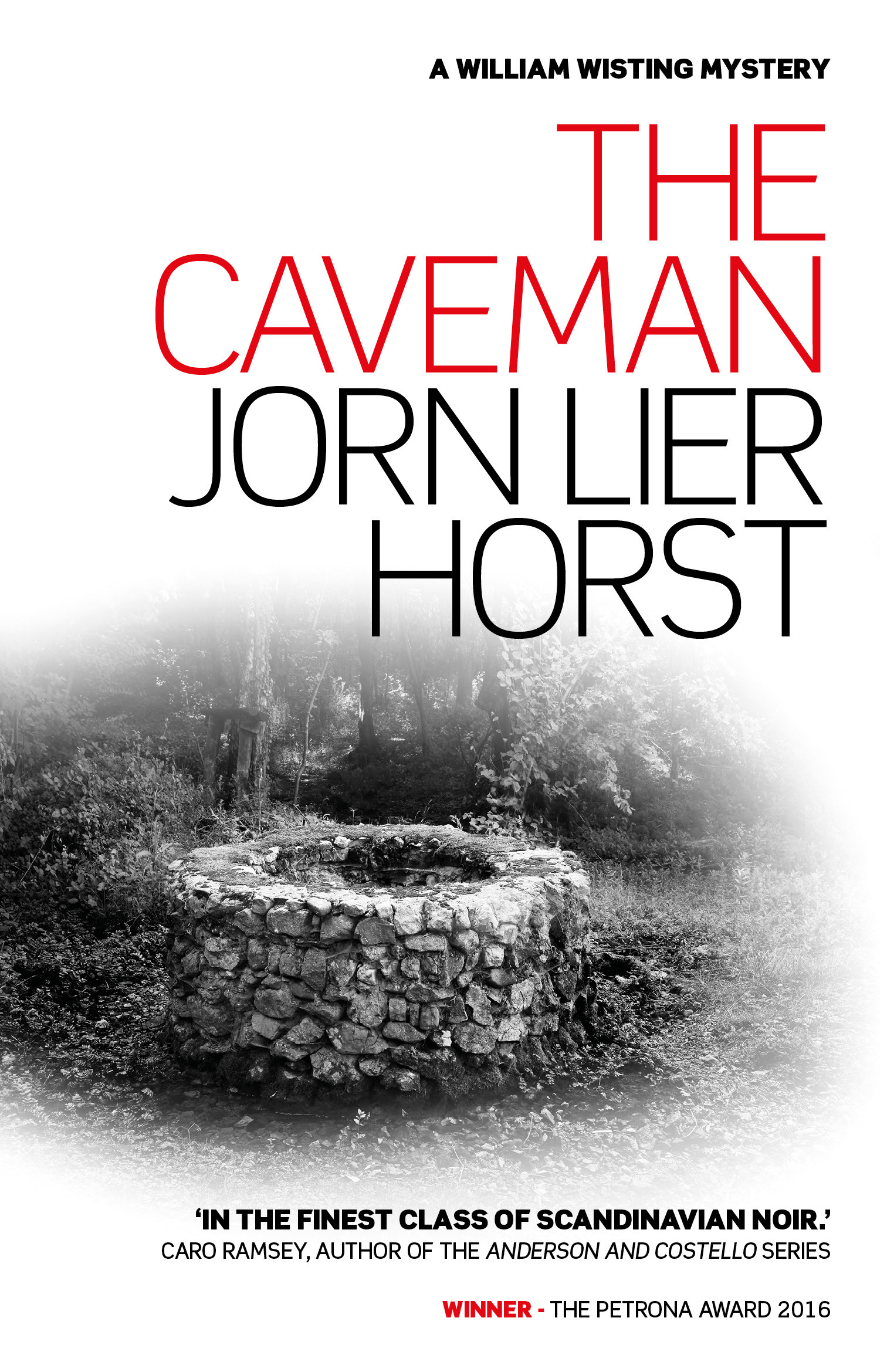 Hulemannen book cover