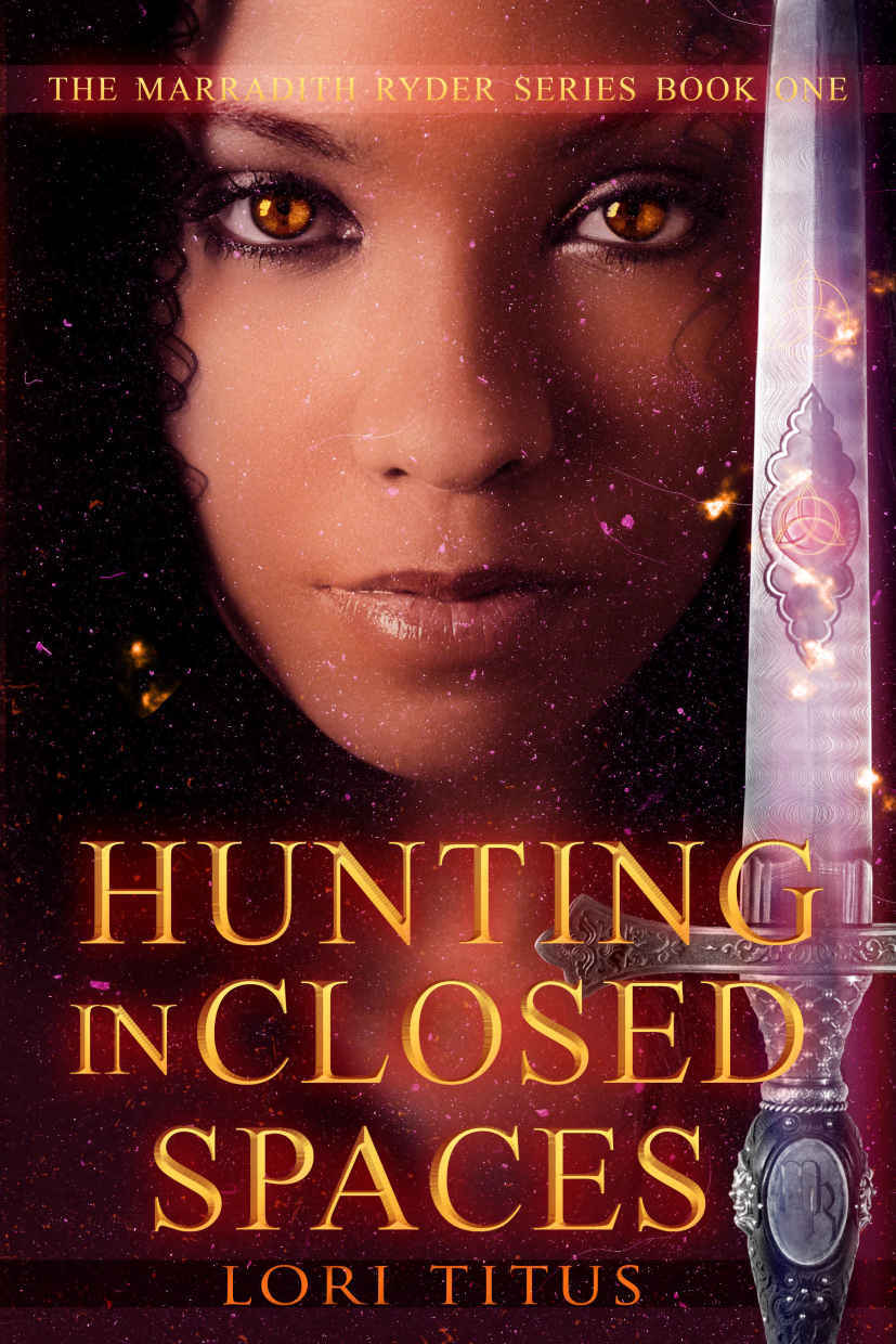 The Marradith Ryder Series book cover 1