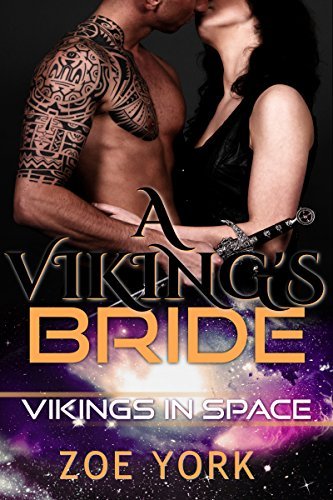 Vikings in Space book cover 2