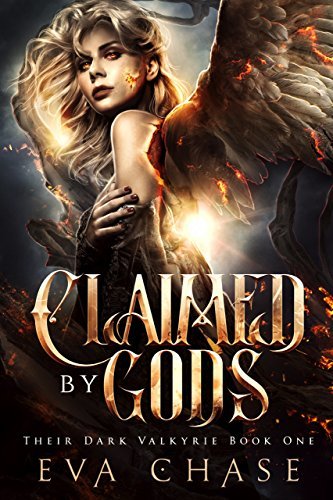 Their Dark Valkyrie book cover 1