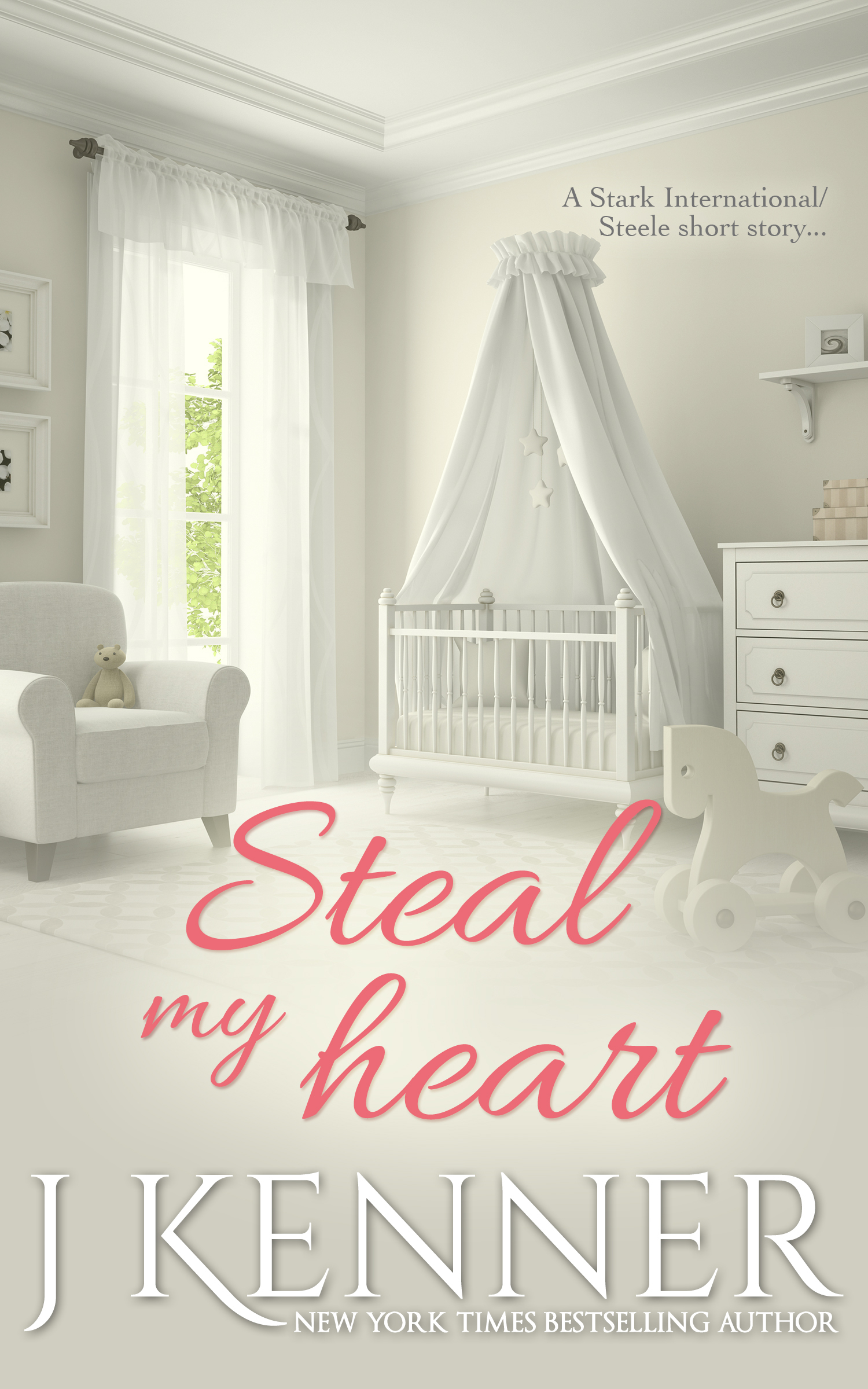 Steal My Heart book cover