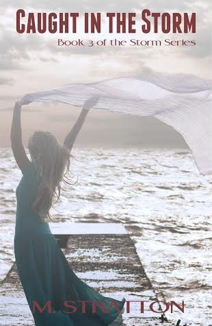 Storm book cover 3