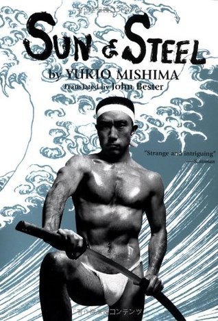 Sun & Steel book cover