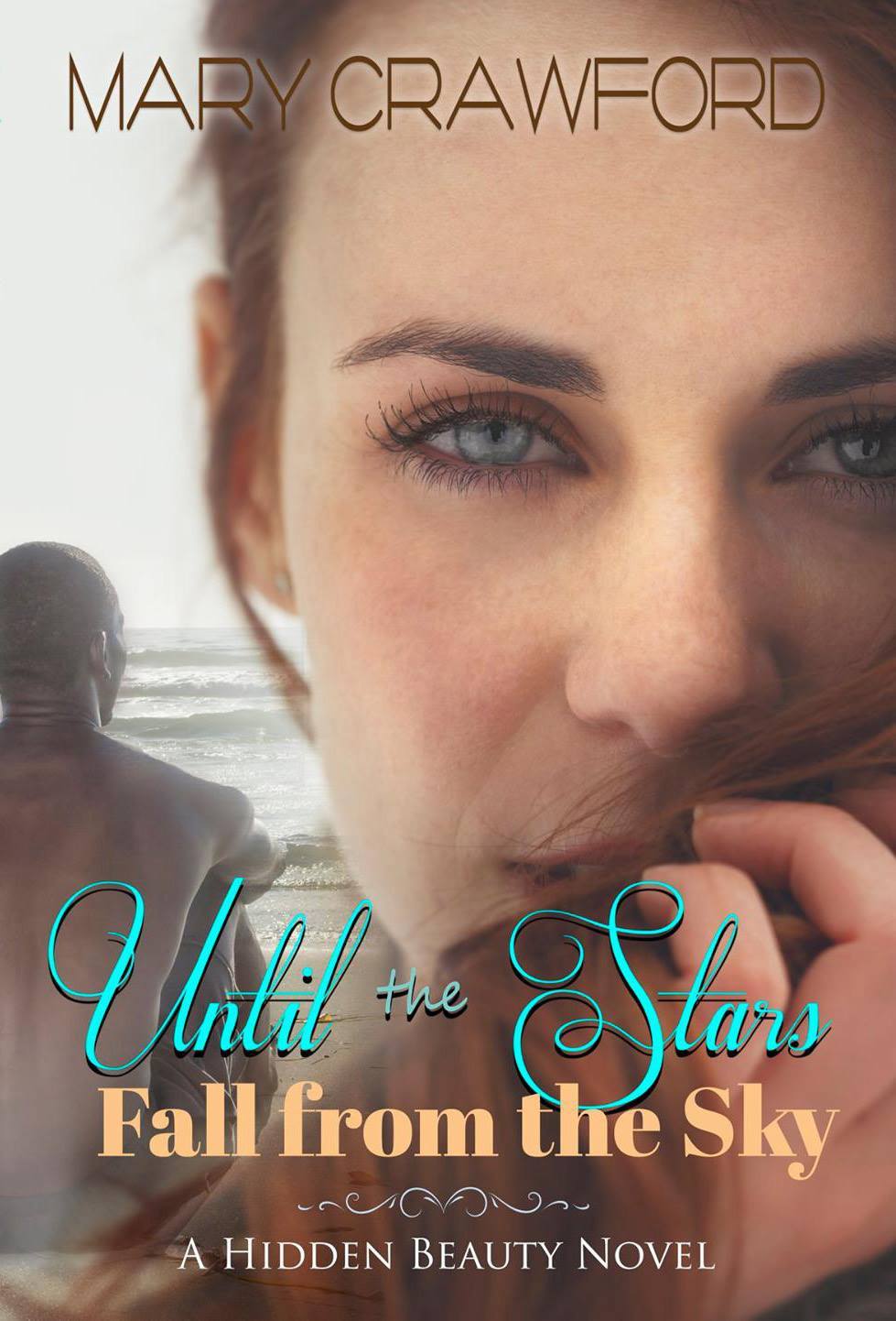 Hidden Beauty book cover 1