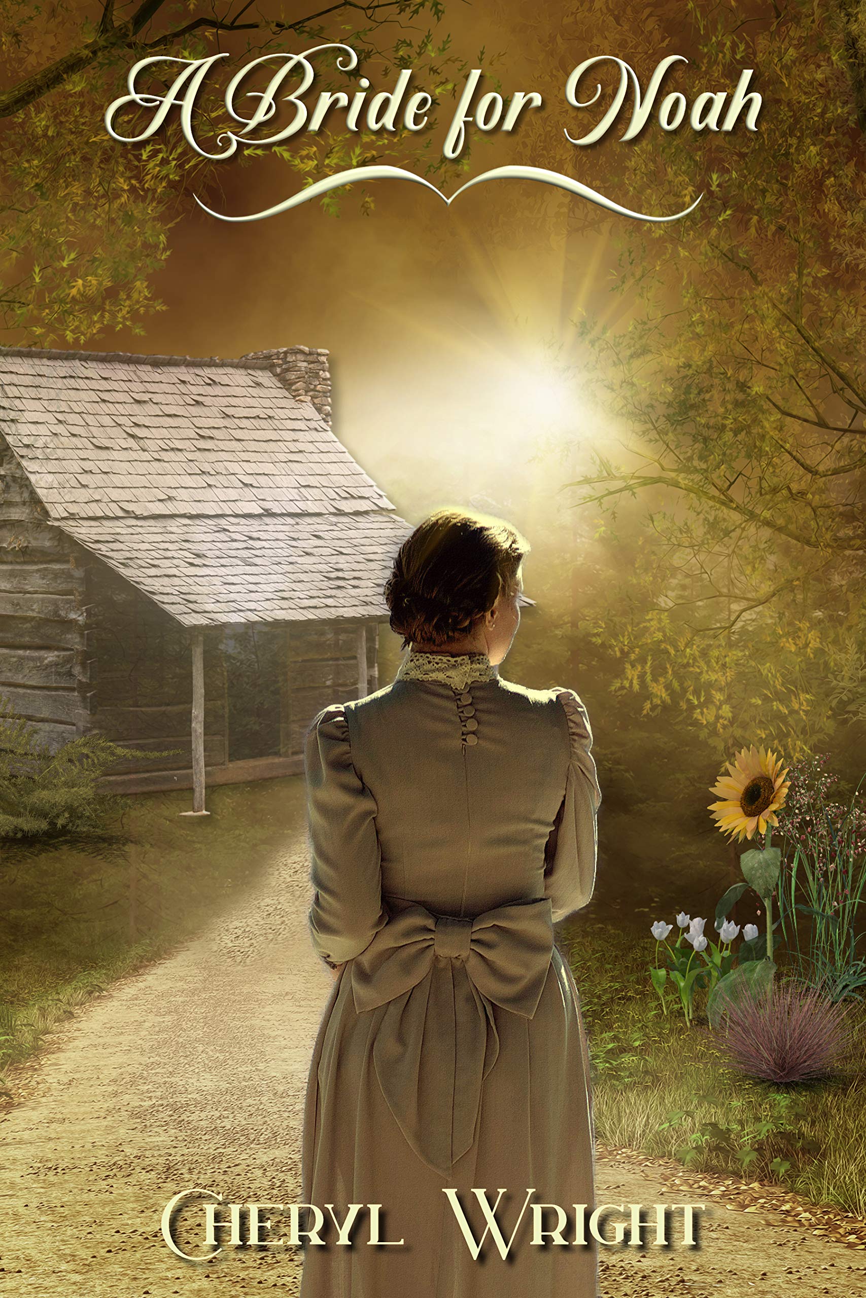 Brides of Broken Arrow book cover 1