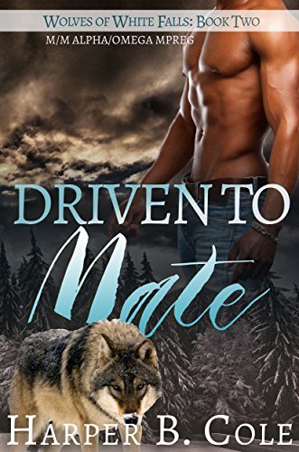 Wolves of White Falls book cover 2