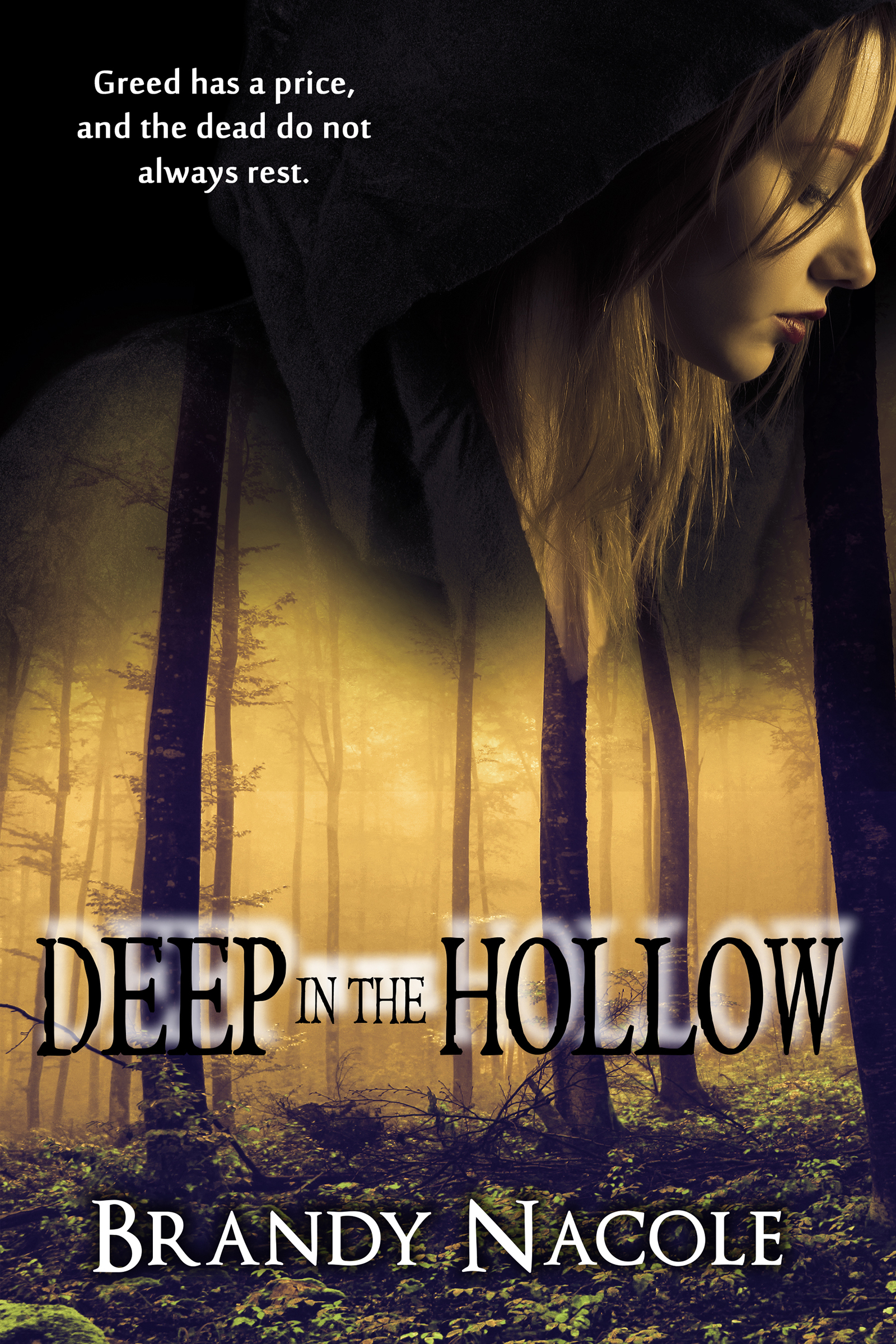 Deep in the Hollow book cover