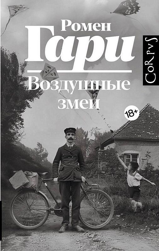 Воздушные змеи book cover