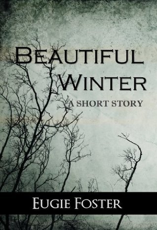 Beautiful Winter book cover