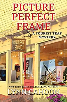 Picture Perfect Frame book cover