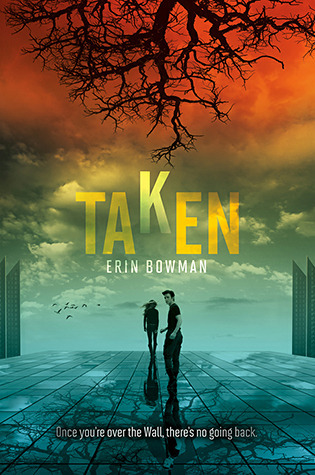 Taken book cover 1