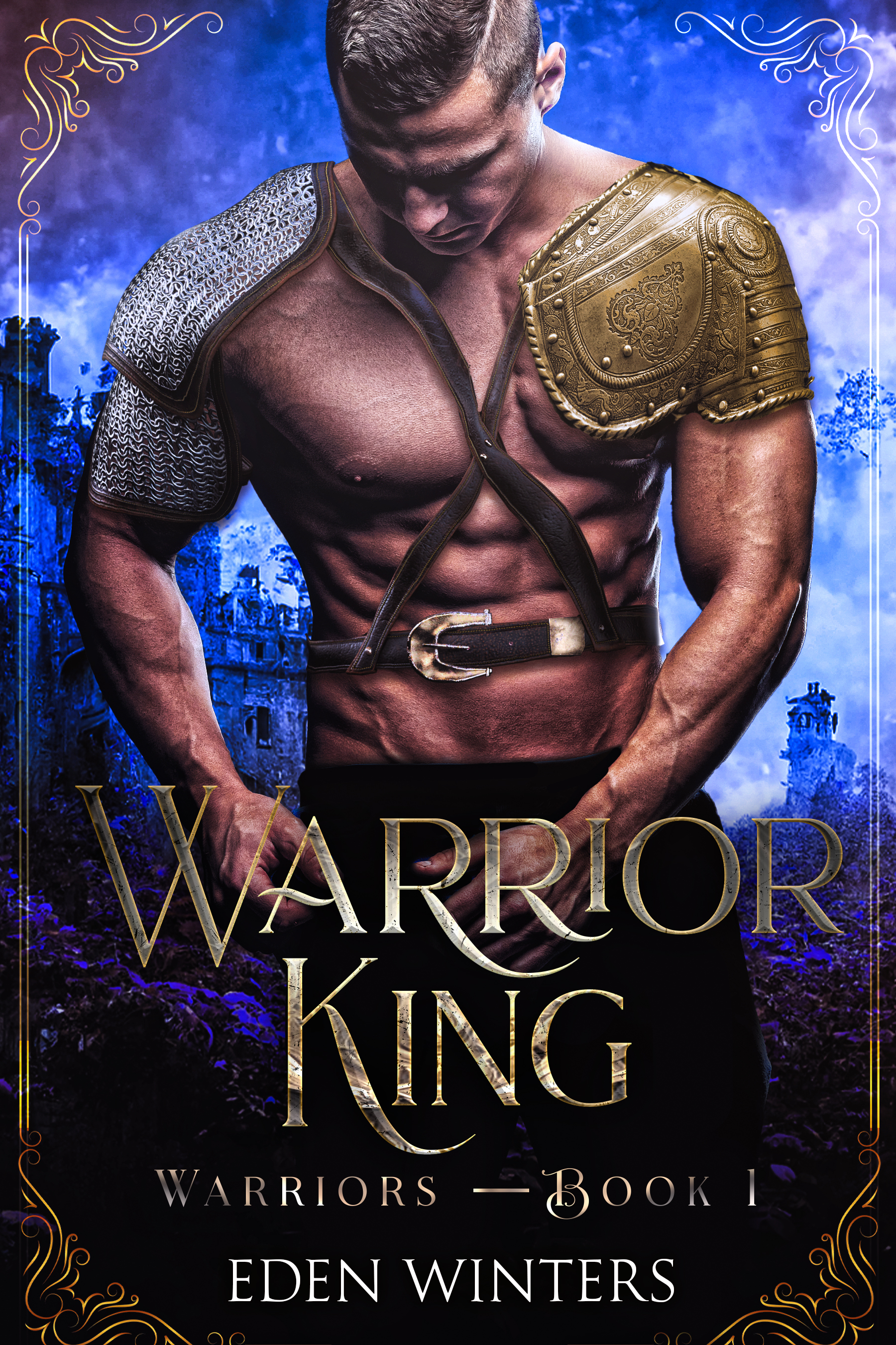 Warrior King book cover