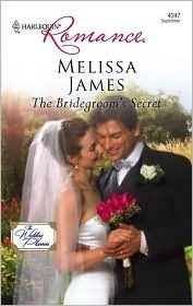 The Bridegroom's Secret book cover