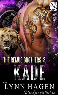 The Remus Brothers book cover 3